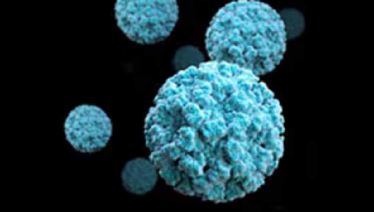 Norovirus outbreaks