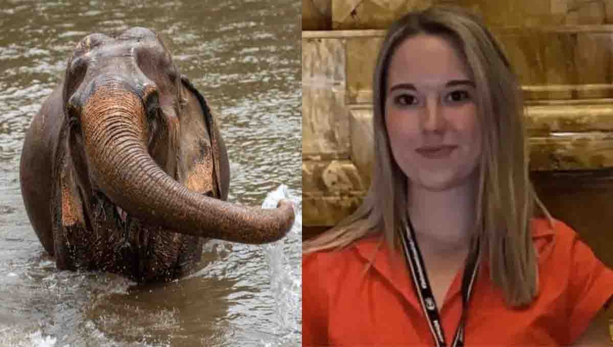 Spanish woman was killed by an elephant